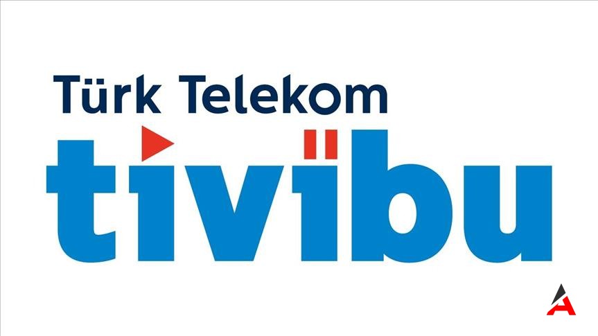 Tivibu 130-00-008 Hatası ve Çözümleri 2