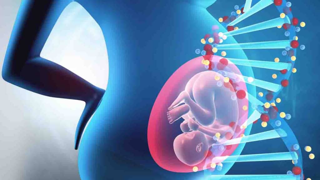 Fetal Dna Testi Nasıl Yapılır