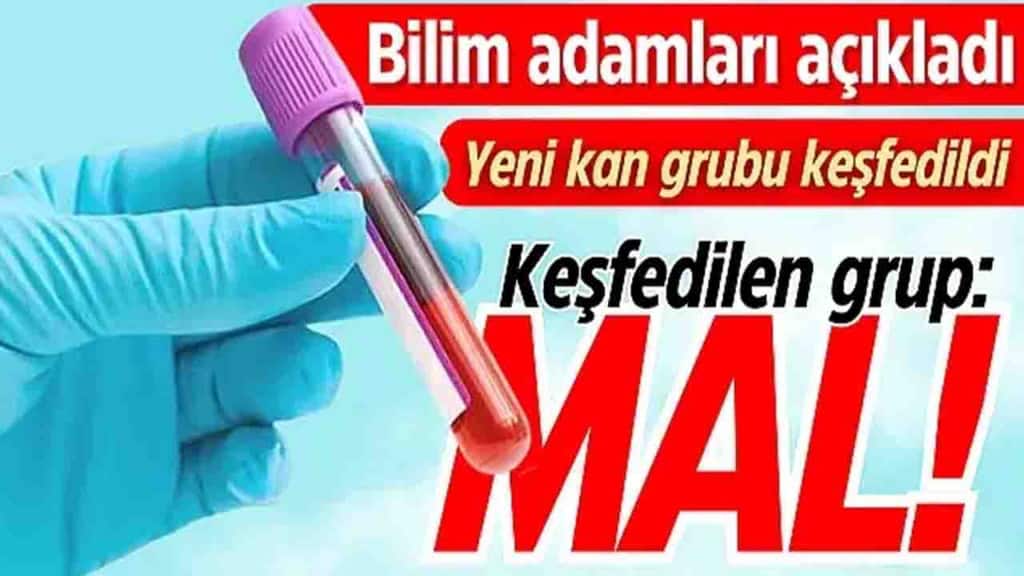 Mal Kan Grubu Nedir