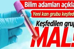 Mal Kan Grubu Nedir