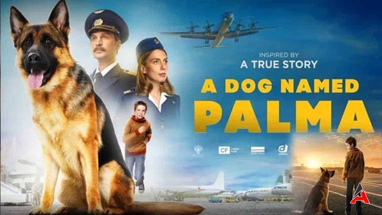 a-dog-named-palma-izle-turkce-altyazili.jpg