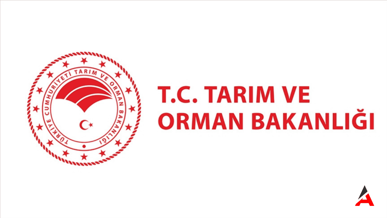 tarim-orman-3.png