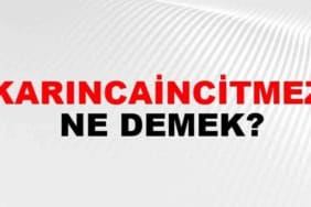 Karıncaincitmez Ne Demek