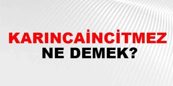 Karıncaincitmez Ne Demek