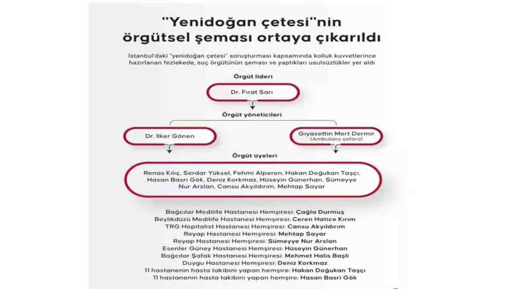 Yenidoğan Çetesi Skandalı