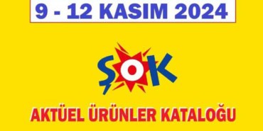 Şok